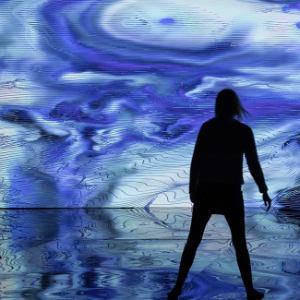 Oeuvre de Miguel Chevalier